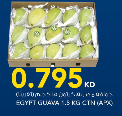 Guava from Egypt available at  ALNASSER HYPERMARKET in Kuwait - Kuwait City