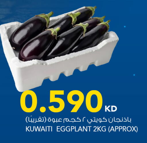 Eggplant from Kuwait available at  ALNASSER HYPERMARKET in Kuwait - Kuwait City