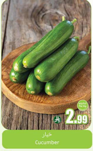 Cucumber available at أسواق عبد الله العثيم in مملكة العربية السعودية, السعودية, سعودية - خميس مشيط