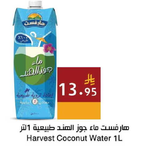 Coconut available at اسواق هلا in مملكة العربية السعودية, السعودية, سعودية - جدة