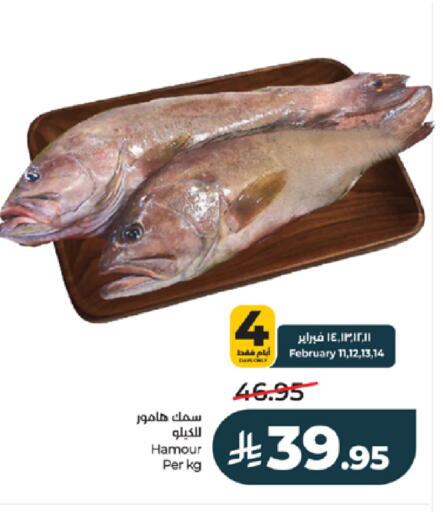 available at LULU Hypermarket in KSA, Saudi Arabia, Saudi - Khamis Mushait