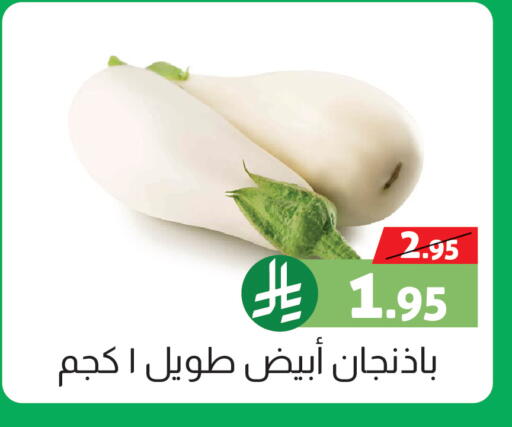 available at صالة العروض in مملكة العربية السعودية, السعودية, سعودية - خميس مشيط