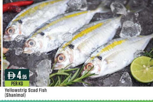 available at ويست زون سوبرماركت in الإمارات العربية المتحدة , الامارات - دبي