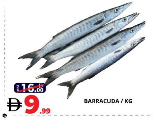 available at اكسبرس المدينة هايبرماركت in الإمارات العربية المتحدة , الامارات - أبو ظبي