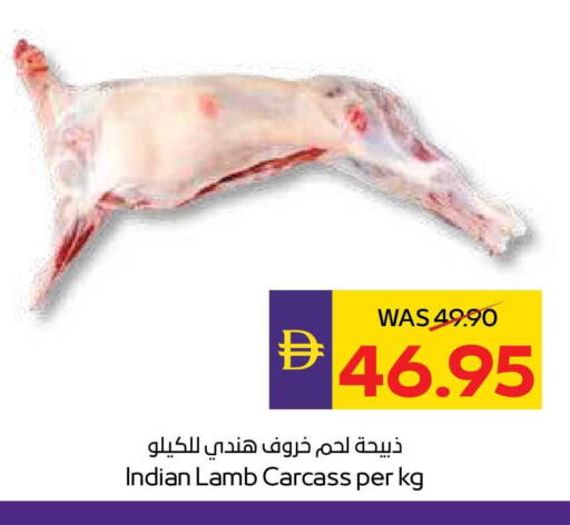 available at أدكووب in الإمارات العربية المتحدة , الامارات - أبو ظبي