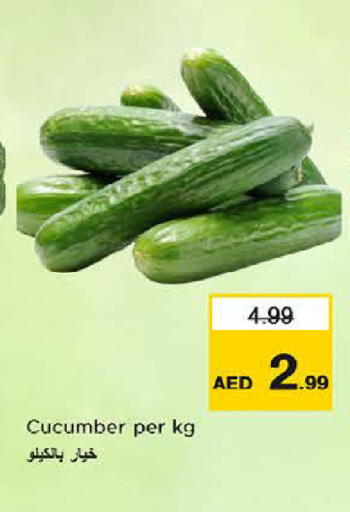 Cucumber available at Last Chance  in UAE - Fujairah