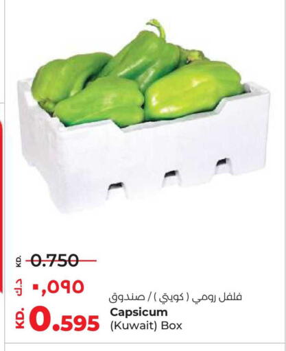 Capsicum from Kuwait available at لولو هايبر ماركت in الكويت - محافظة الأحمدي