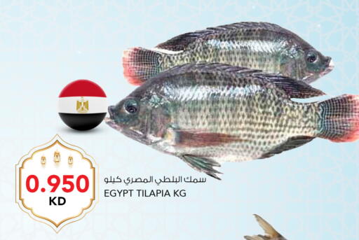 available at  ALNASSER HYPERMARKET in Kuwait - Ahmadi Governorate