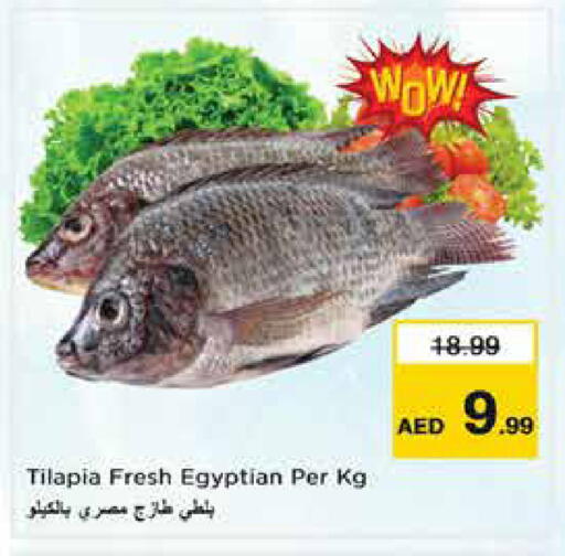 available at نستو هايبرماركت in الإمارات العربية المتحدة , الامارات - الشارقة / عجمان