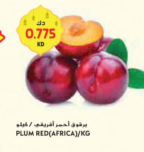 Plum available at جراند كوستو in الكويت - محافظة الأحمدي