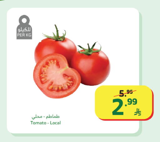 Tomato available at الراية in مملكة العربية السعودية, السعودية, سعودية - تبوك
