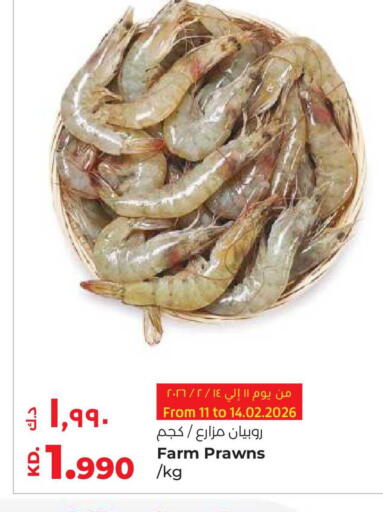 available at Lulu Hypermarket  in Kuwait - Ahmadi Governorate