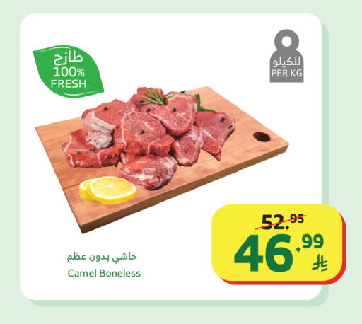 available at الراية in مملكة العربية السعودية, السعودية, سعودية - جدة