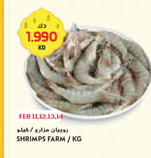 available at Grand Costo in Kuwait - Ahmadi Governorate