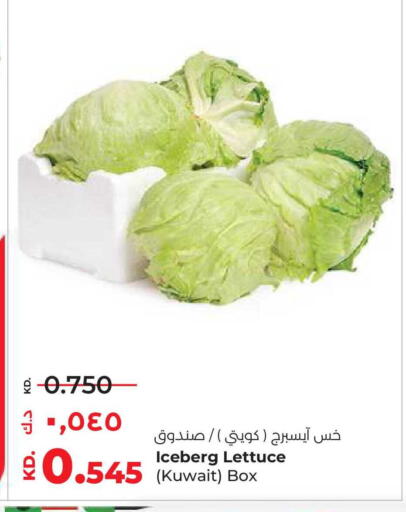 Lettuce from Kuwait available at Lulu Hypermarket  in Kuwait - Kuwait City