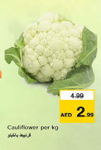 Cauliflower available at Last Chance  in UAE - Fujairah