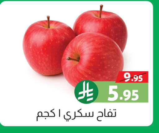 available at صالة العروض in مملكة العربية السعودية, السعودية, سعودية - خميس مشيط