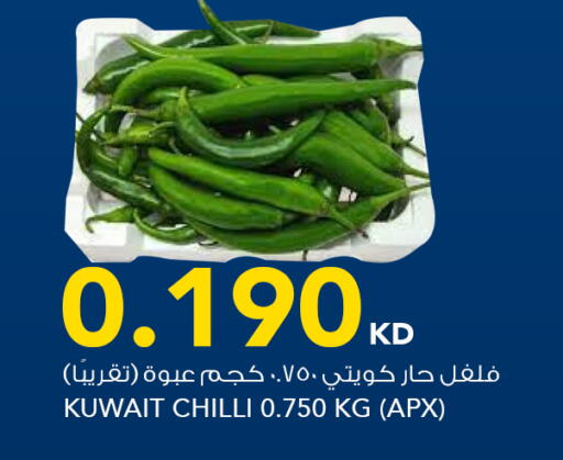 Chilli from Kuwait available at  ALNASSER HYPERMARKET in Kuwait - Kuwait City