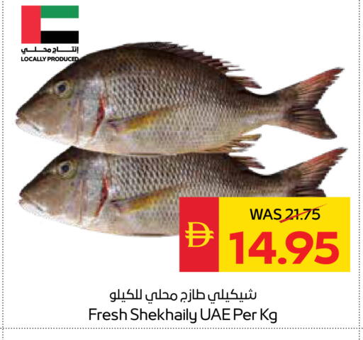 available at سبار هايبرماركت in الإمارات العربية المتحدة , الامارات - رَأْس ٱلْخَيْمَة