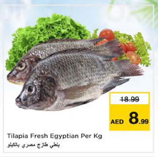 available at نستو هايبرماركت in الإمارات العربية المتحدة , الامارات - الشارقة / عجمان