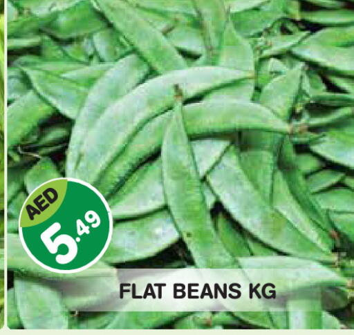 available at Baniyas Spike  in UAE - Abu Dhabi