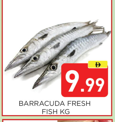 available at Ain Al Madina Hypermarket in UAE - Sharjah / Ajman