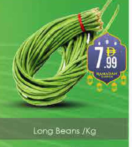 available at ايكو مول & ايكو هايبرماركت in الإمارات العربية المتحدة , الامارات - دبي