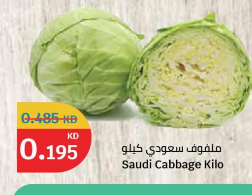 Cabbage from Saudi Arabia available at سيتي هايبرماركت in الكويت - محافظة الأحمدي