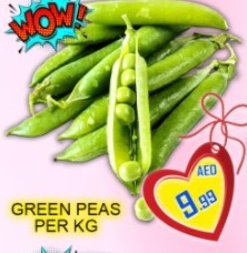 Peas available at جرين جيفت متجر أقسام in الإمارات العربية المتحدة , الامارات - دبي