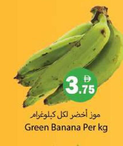 Banana available at Gulf Hypermarket LLC in UAE - Ras al Khaimah