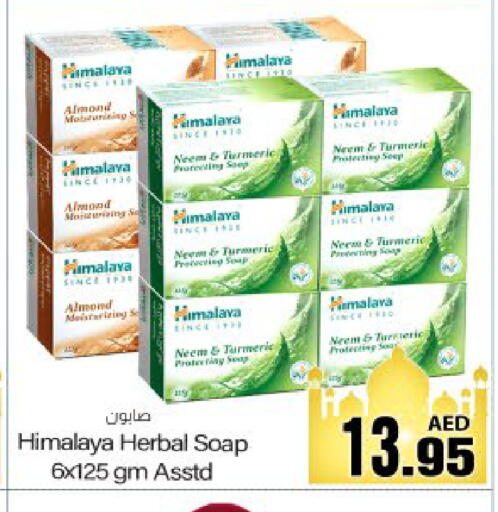 Turmeric available at Meem Sajidha in UAE - Fujairah