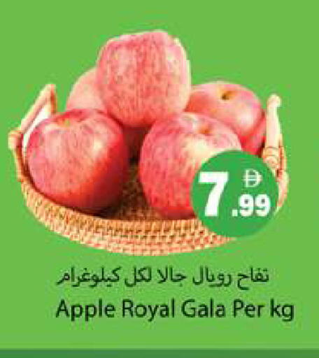 Apple available at Gulf Hypermarket LLC in UAE - Ras al Khaimah