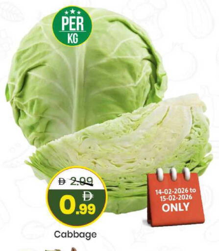 Cabbage available at مارك & سيف in الإمارات العربية المتحدة , الامارات - الشارقة / عجمان