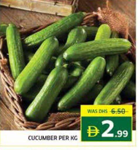Cucumber available at Seven Emirates Supermarket in UAE - Abu Dhabi