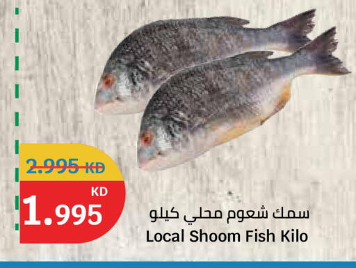 available at City Hypermarket in Kuwait - Kuwait City