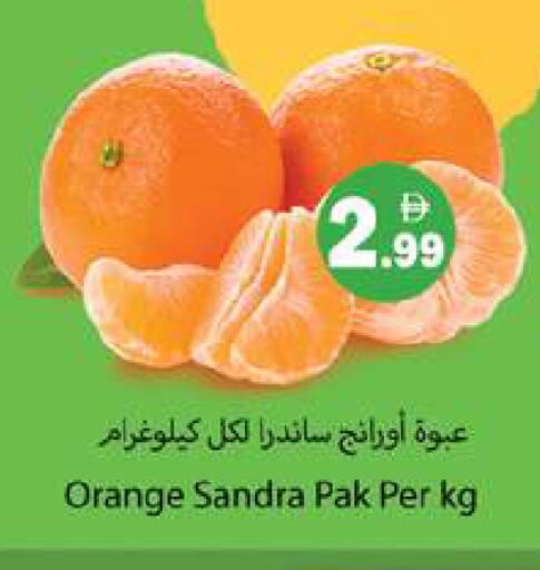 Orange available at Gulf Hypermarket LLC in UAE - Ras al Khaimah