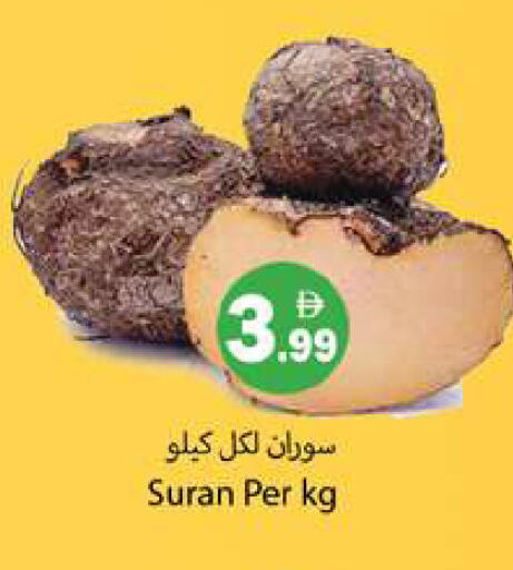 available at Gulf Hypermarket LLC in UAE - Ras al Khaimah