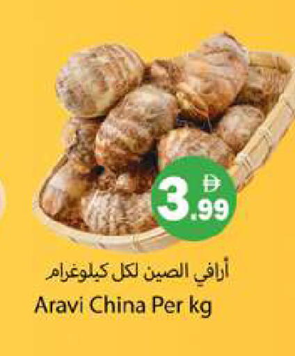 from China available at Gulf Hypermarket LLC in UAE - Ras al Khaimah