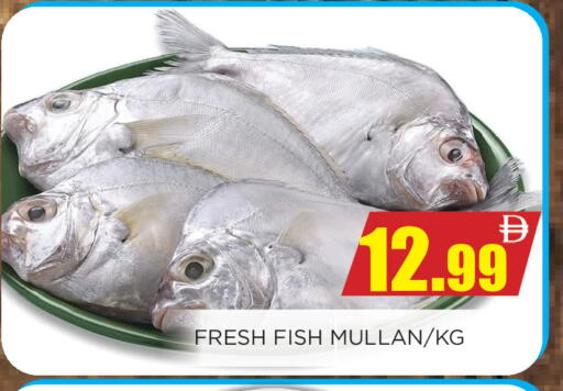 available at Ainas Al madina hypermarket in UAE - Sharjah / Ajman