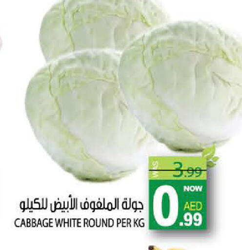 Cabbage available at هاشم هايبرماركت in الإمارات العربية المتحدة , الامارات - الشارقة / عجمان