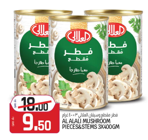 Mushroom available at Saudia Hypermarket in Qatar - Al Rayyan