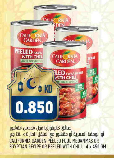 Chilli available at أونكوست in الكويت - مدينة الكويت