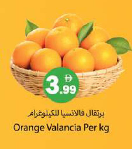 Orange from Valancia available at Gulf Hypermarket LLC in UAE - Ras al Khaimah