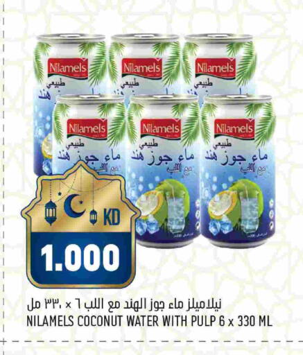 Coconut available at Oncost in Kuwait - Kuwait City