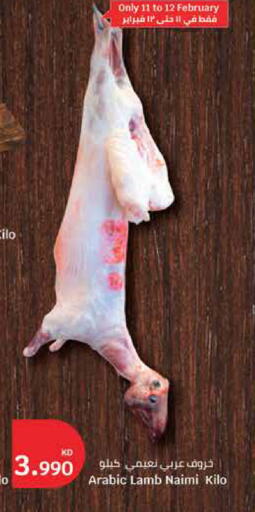 available at City Hypermarket in Kuwait - Ahmadi Governorate