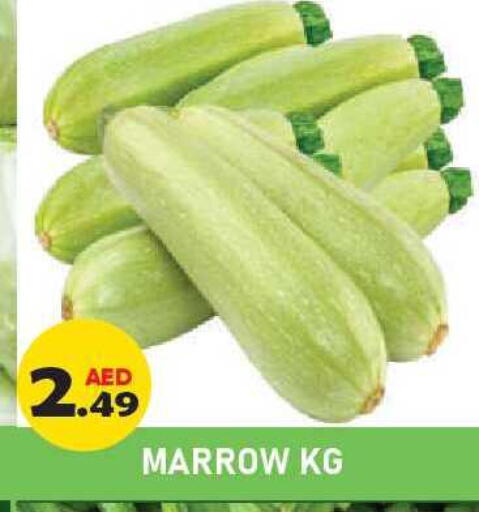 Marrow available at Baniyas Spike  in UAE - Ras al Khaimah