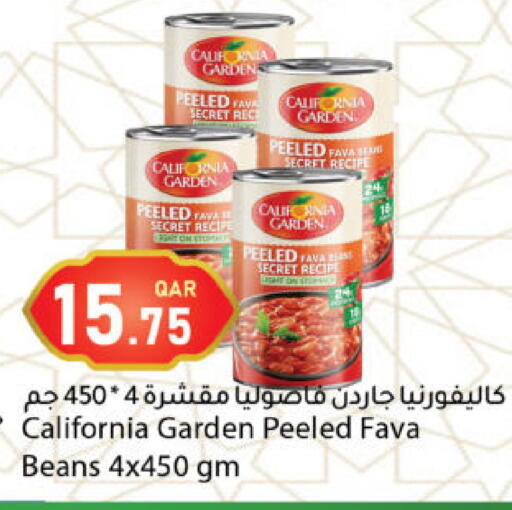 available at دانا ماركت in قطر - الشحانية