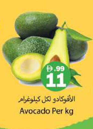 Avocado available at Gulf Hypermarket LLC in UAE - Ras al Khaimah