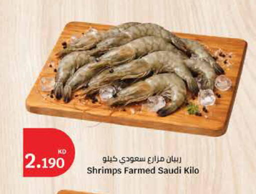 available at City Hypermarket in Kuwait - Kuwait City