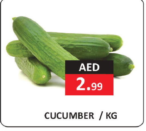 Cucumber available at  RIVIERA SUPERMARKET L.L.C in UAE - Abu Dhabi